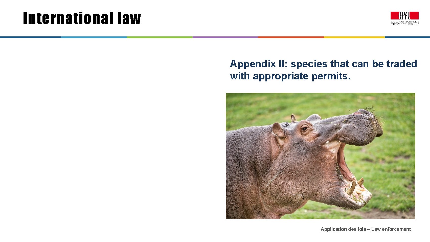 International law Appendix II: species that can be traded with appropriate permits. Application des