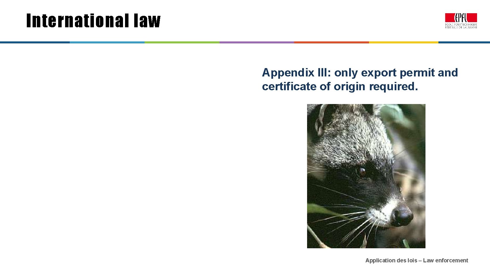 International law Appendix III: only export permit and certificate of origin required. Application des