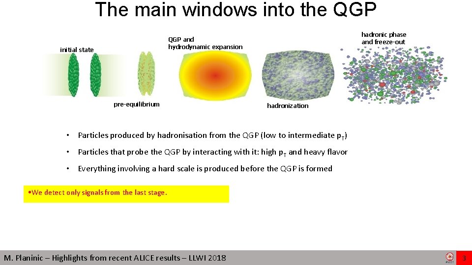 The main windows into the QGP hadronic phase and freeze-out QGP and hydrodynamic expansion The main windows into the QGP hadronic phase and freeze-out QGP and hydrodynamic expansion