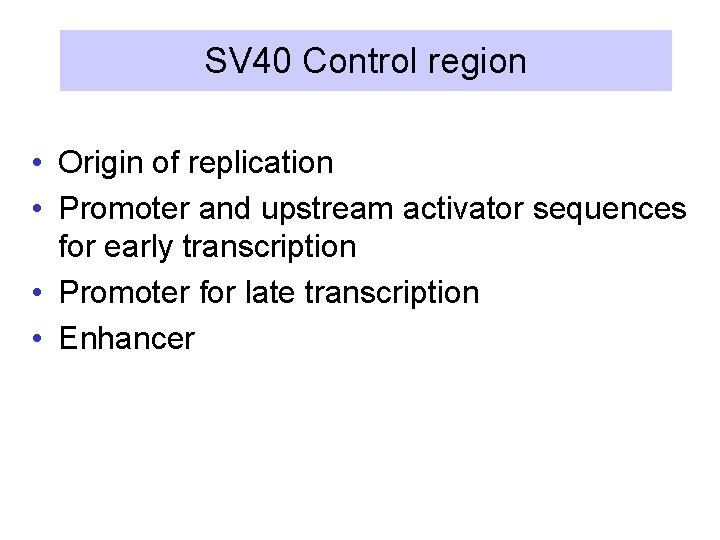 SV 40 Control region • Origin of replication • Promoter and upstream activator sequences