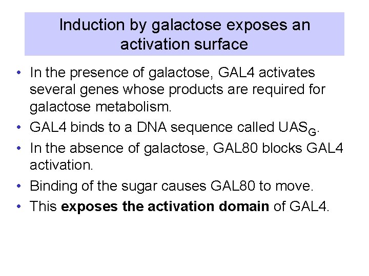 Induction by galactose exposes an activation surface • In the presence of galactose, GAL