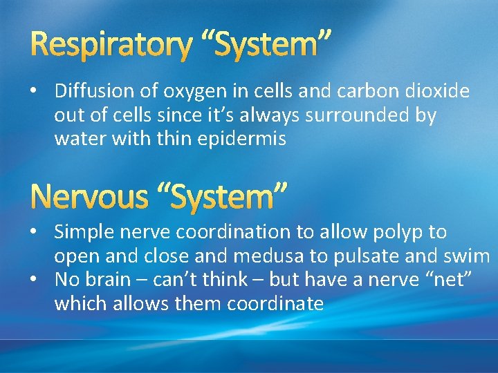 Respiratory “System” • Diffusion of oxygen in cells and carbon dioxide out of cells