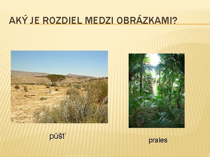 AKÝ JE ROZDIEL MEDZI OBRÁZKAMI? púšť prales 