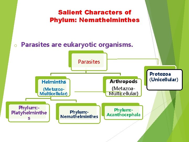 Salient Characters of Phylum: Nemathelminthes o Parasites are eukaryotic organisms. Parasites Helminths Arthropods (Metazoa. Salient Characters of Phylum: Nemathelminthes o Parasites are eukaryotic organisms. Parasites Helminths Arthropods (Metazoa.