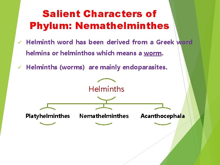 Salient Characters of Phylum: Nemathelminthes ü Helminth word has been derived from a Greek Salient Characters of Phylum: Nemathelminthes ü Helminth word has been derived from a Greek