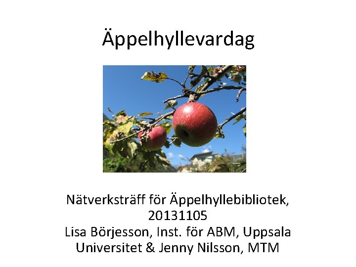 Äppelhyllevardag Nätverksträff för Äppelhyllebibliotek, 20131105 Lisa Börjesson, Inst. för ABM, Uppsala Universitet & Jenny