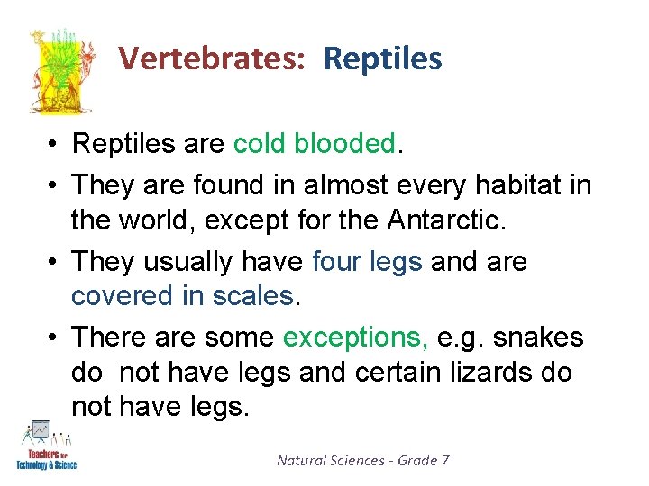 Vertebrates: Reptiles • Reptiles are cold blooded. • They are found in almost every