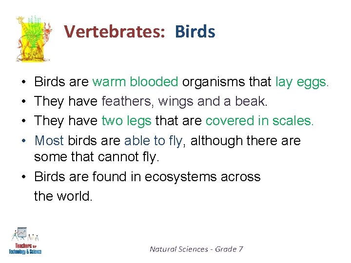 Vertebrates: Birds • • Birds are warm blooded organisms that lay eggs. They have
