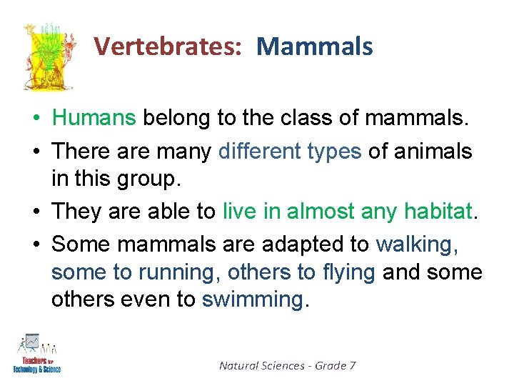 Vertebrates: Mammals • Humans belong to the class of mammals. • There are many