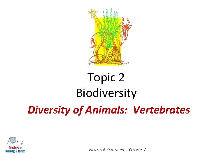 Topic 2 Biodiversity Diversity of Animals: Vertebrates Natural Sciences – Grade 7 