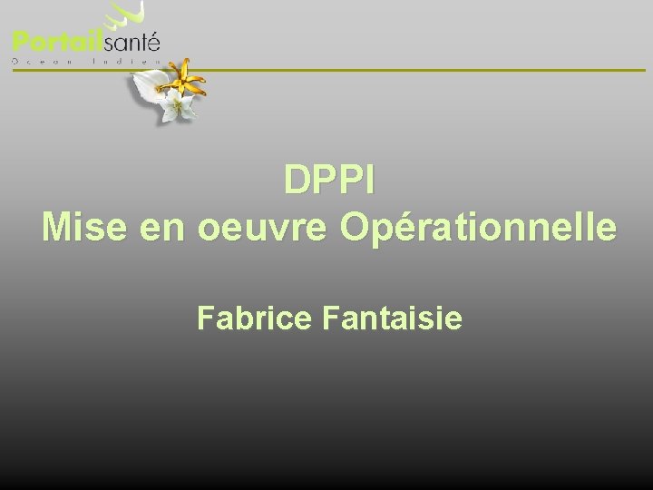DPPI Mise en oeuvre Opérationnelle Fabrice Fantaisie 