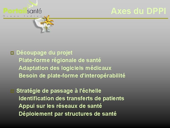 Axes du DPPI Découpage du projet Plate-forme régionale de santé Adaptation des logiciels médicaux