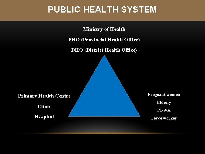 PUBLIC HEALTH SYSTEM Ministry of Health PHO (Provincial Health Office) DHO (District Health Office)