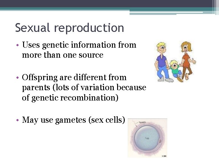 Bellringer 10 15 1 Put the following phases