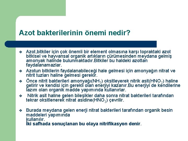 Azot bakterilerinin önemi nedir? v v v Azot, bitkiler için çok önemli bir element Azot bakterilerinin önemi nedir? v v v Azot, bitkiler için çok önemli bir element
