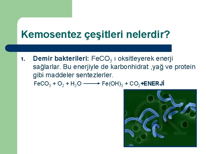 Kemosentez çeşitleri nelerdir? 1. Demir bakterileri: Fe. CO 3 ı oksitleyerek enerji sağlarlar. Bu