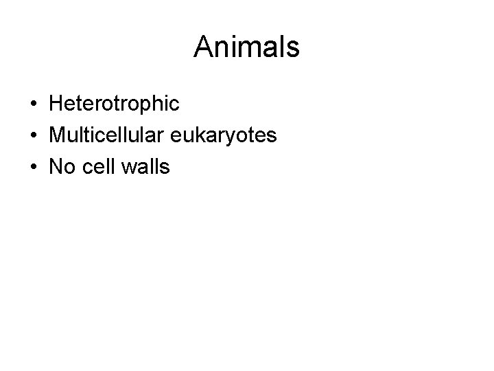Animals • Heterotrophic • Multicellular eukaryotes • No cell walls 