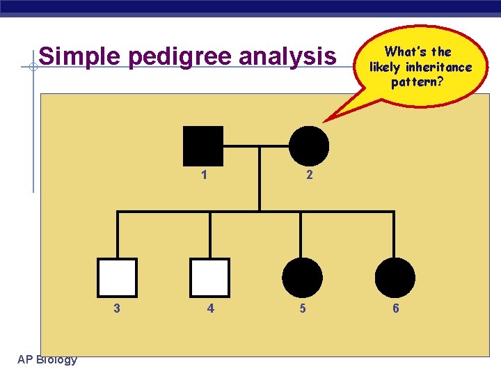 Simple pedigree analysis 11 33 AP Biology 44 What’s the likely inheritance pattern? 22