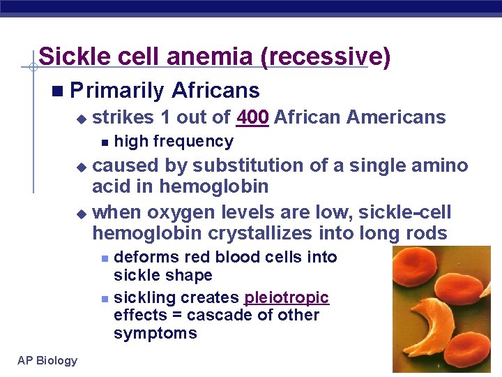 Sickle cell anemia (recessive) n Primarily u Africans strikes 1 out of 400 African