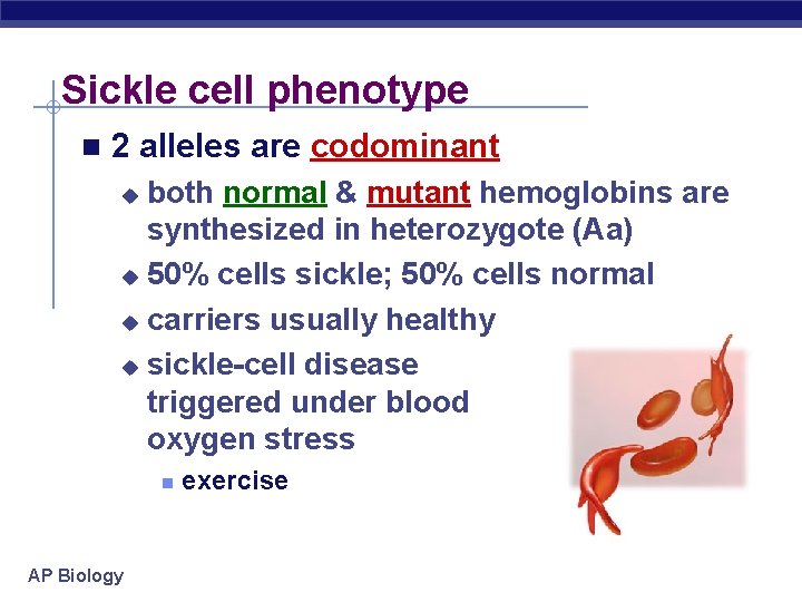Sickle cell phenotype n 2 alleles are codominant both normal & mutant hemoglobins are