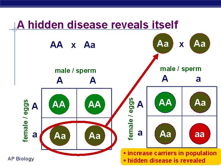 A hidden disease reveals itself Aa AA x Aa A AA AA a Aa