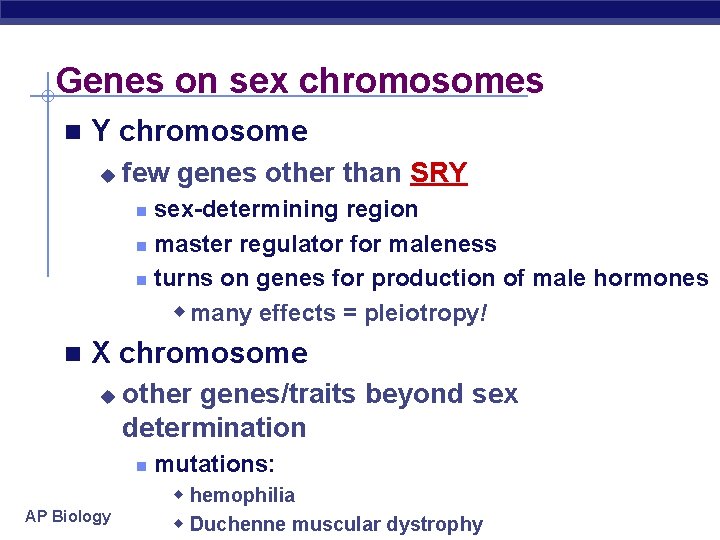 Genes on sex chromosomes n Y chromosome u few genes other than SRY sex-determining
