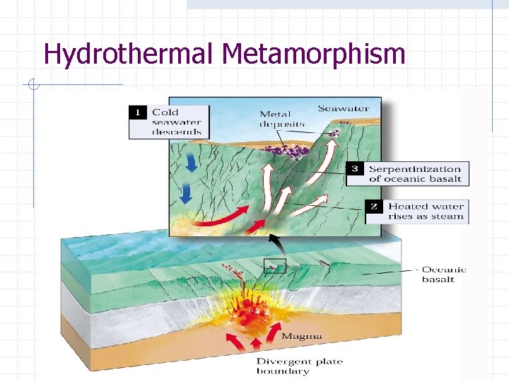 Hydrothermal Metamorphism 