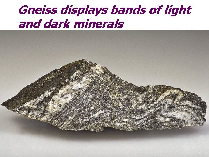 Gneiss displays bands of light and dark minerals 