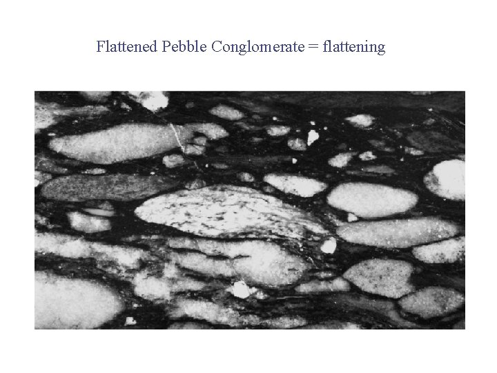 Flattened Pebble Conglomerate = flattening 