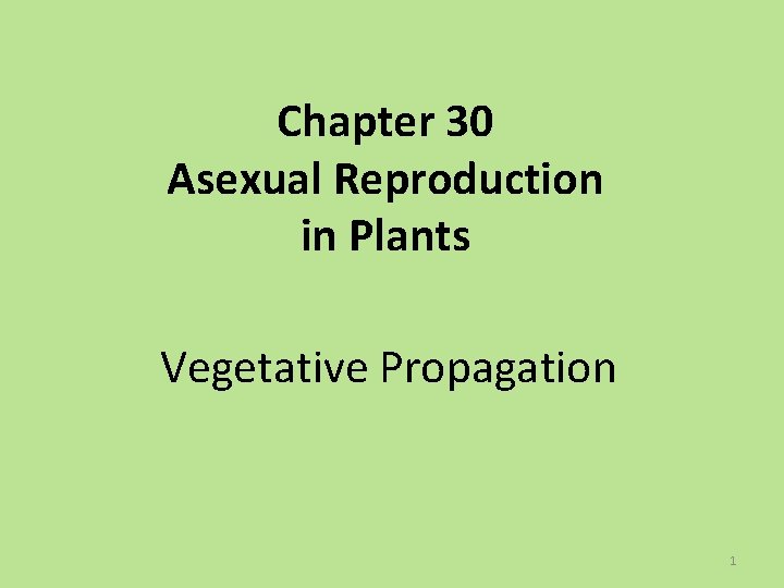 Chapter 30 Asexual Reproduction in Plants Vegetative Propagation 1 