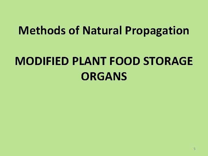 Methods of Natural Propagation MODIFIED PLANT FOOD STORAGE ORGANS 5 