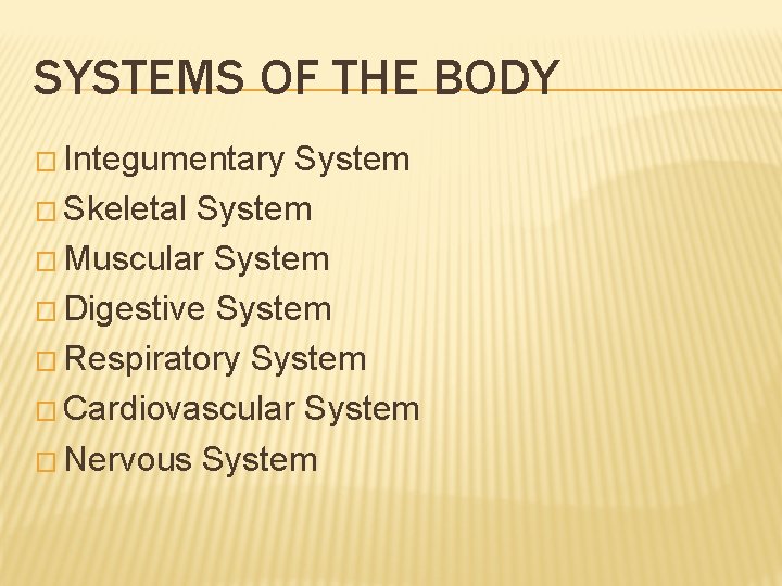 SYSTEMS OF THE BODY � Integumentary System � Skeletal System � Muscular System � SYSTEMS OF THE BODY � Integumentary System � Skeletal System � Muscular System �