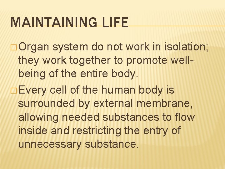 MAINTAINING LIFE � Organ system do not work in isolation; they work together to MAINTAINING LIFE � Organ system do not work in isolation; they work together to