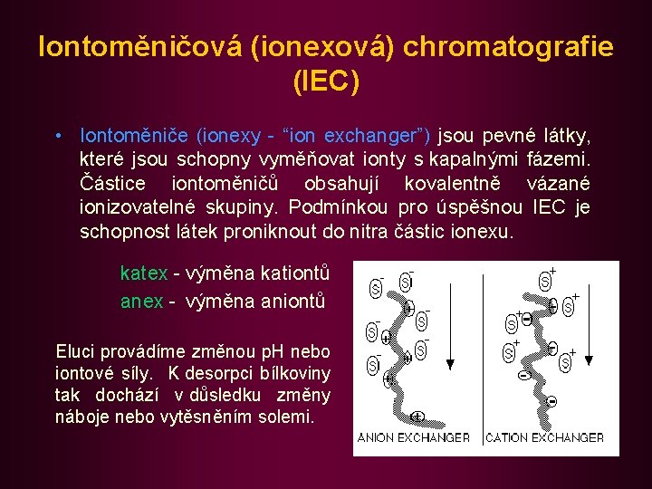 Iontoměničová (ionexová) chromatografie (IEC) • Iontoměniče (ionexy - “ion exchanger”) jsou pevné látky, které