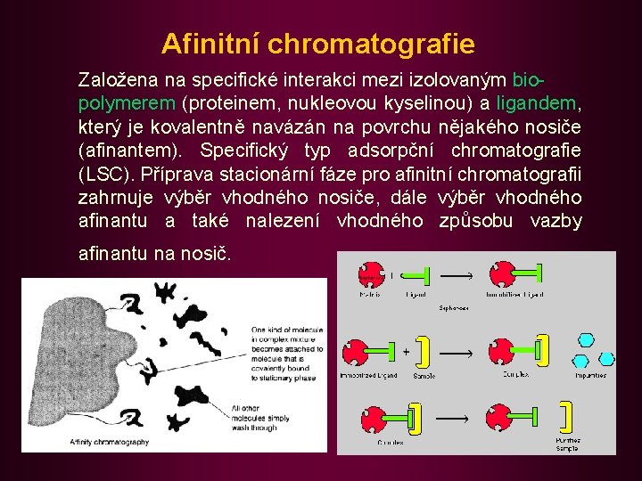 Afinitní chromatografie Založena na specifické interakci mezi izolovaným biopolymerem (proteinem, nukleovou kyselinou) a ligandem,