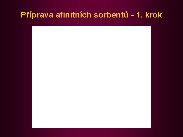 Příprava afinitních sorbentů - 1. krok 