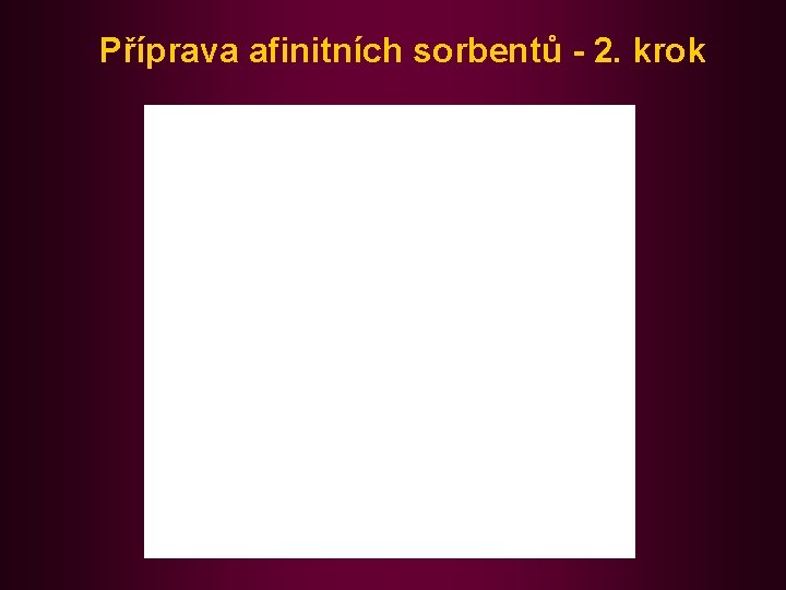 Příprava afinitních sorbentů - 2. krok 