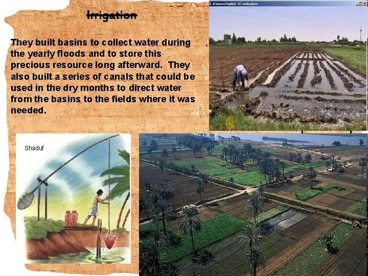 Irrigation They built basins to collect water during the yearly floods and to store Irrigation They built basins to collect water during the yearly floods and to store