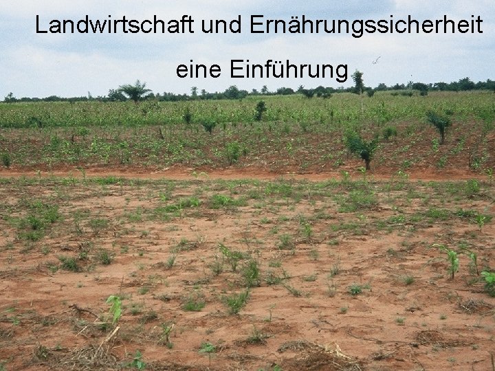 Landwirtschaft und Ernährungssicherheit eine Einführung 