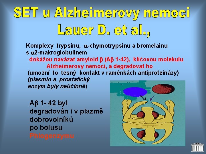 Komplexy trypsinu, -chymotrypsinu a bromelainu s 2 -makroglobulinem dokážou navázat amyloid (A 1 -42),