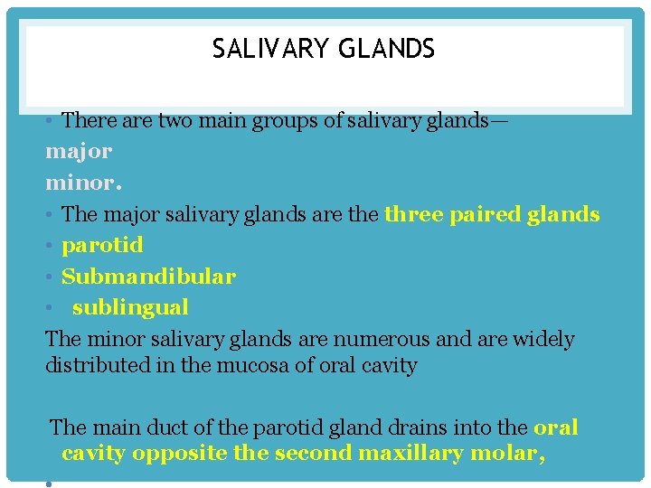 SALIVARY GLANDS • There are two main groups of salivary glands— major minor. •