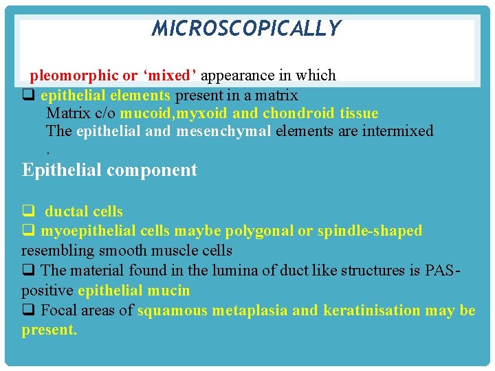 MICROSCOPICALLY pleomorphic or ‘mixed’ appearance in which q epithelial elements present in a matrix