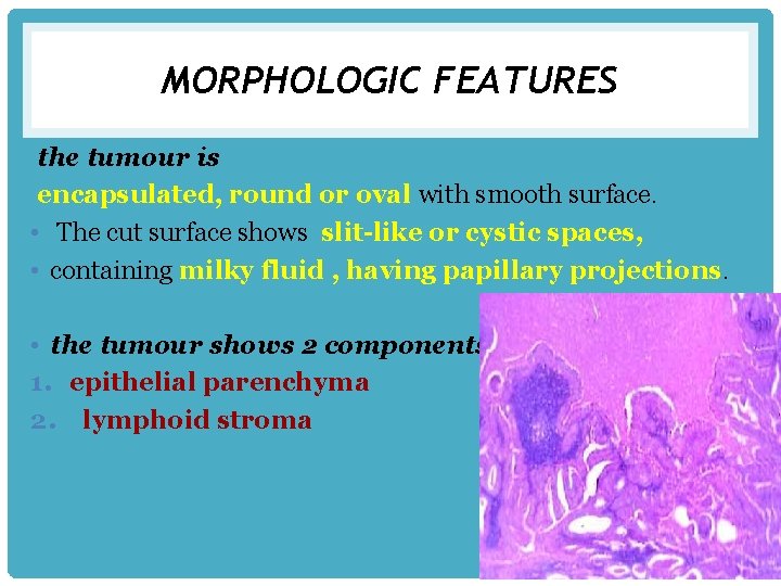 MORPHOLOGIC FEATURES the tumour is encapsulated, round or oval with smooth surface. • The
