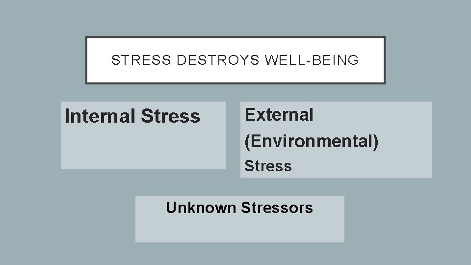 STRESS DESTROYS WELL-BEING Internal Stress External (Environmental) Stress Unknown Stressors 