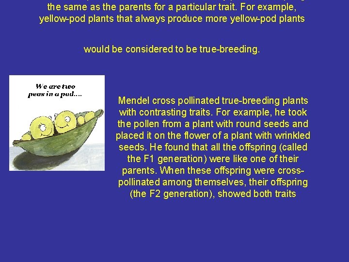 the same as the parents for a particular trait. For example, yellow-pod plants that