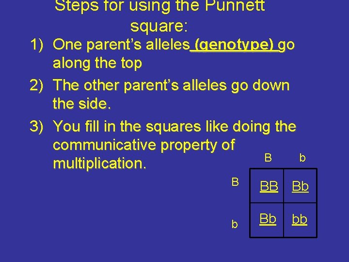 Steps for using the Punnett square: 1) One parent’s alleles (genotype) go along the