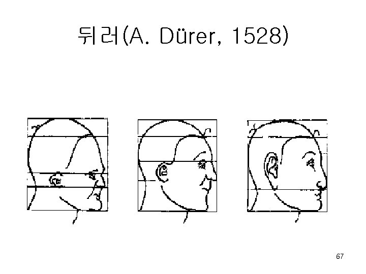 뒤러(A. Dürer, 1528) 67 