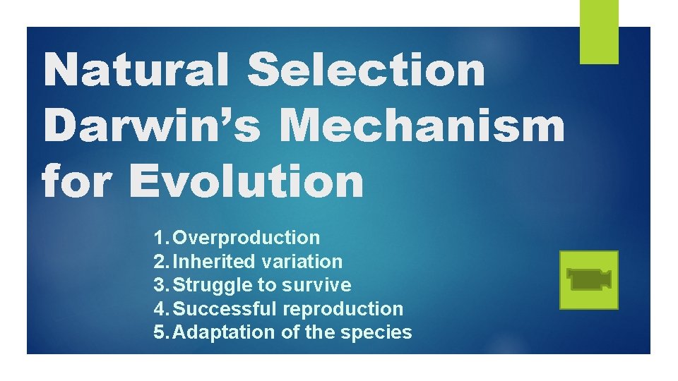 Natural Selection Darwin’s Mechanism for Evolution 1. Overproduction 2. Inherited variation 3. Struggle to