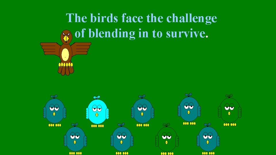 The birds face the challenge of blending in to survive. 
