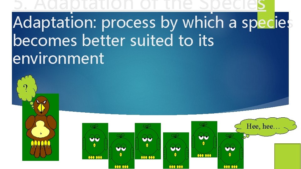 5. Adaptation of the Species Adaptation: process by which a species becomes better suited
